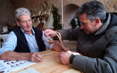 Valutazione ungulati Pieve di Ledro