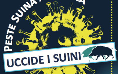 Peste suina africana: informazione e comportamenti