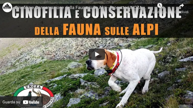 Cinofilia e Conservazione della Fauna