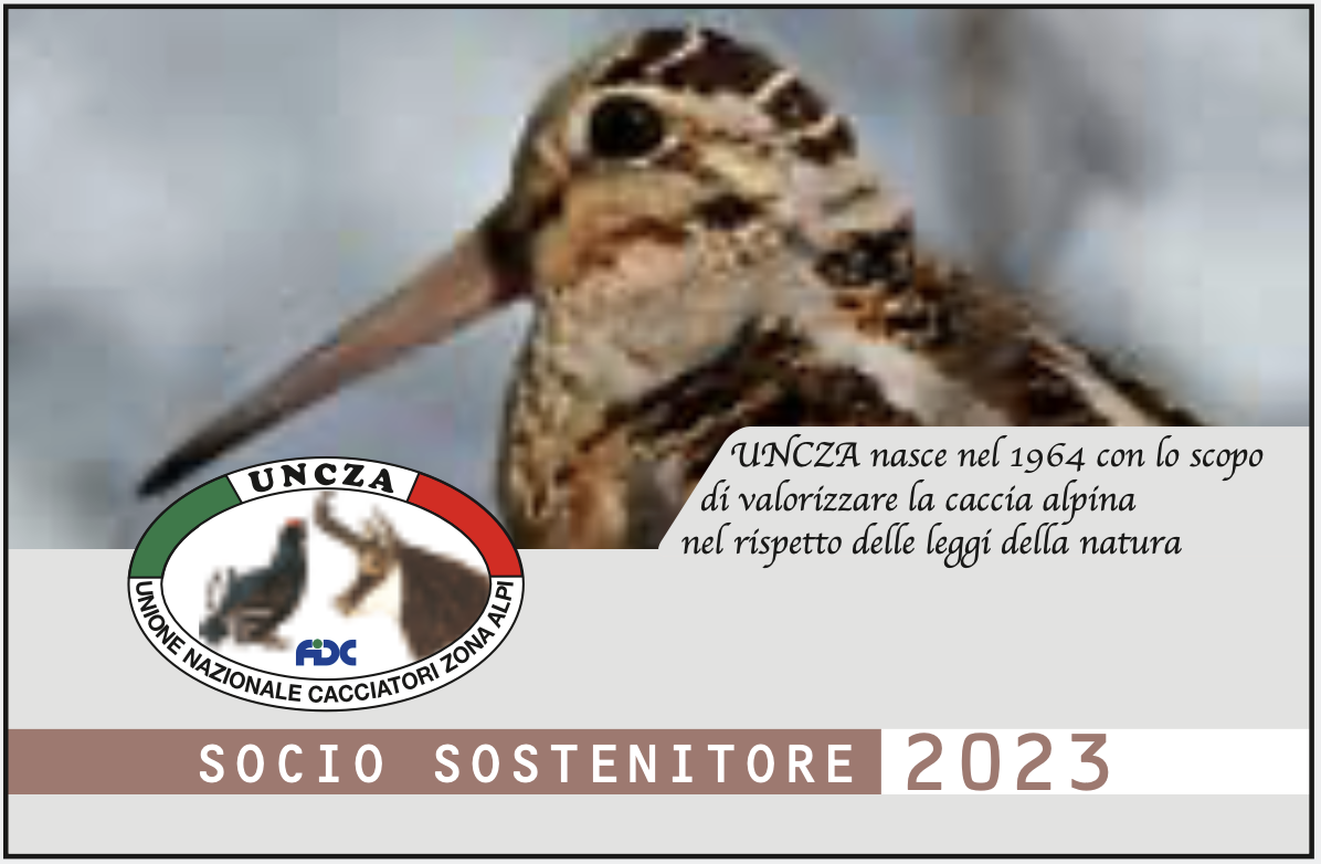 Screenshot 2023-03-23 alle 14.34.03