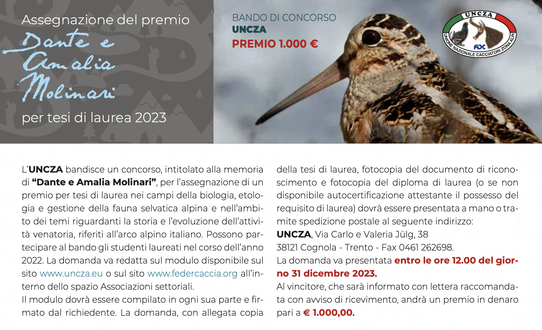 tesi2023