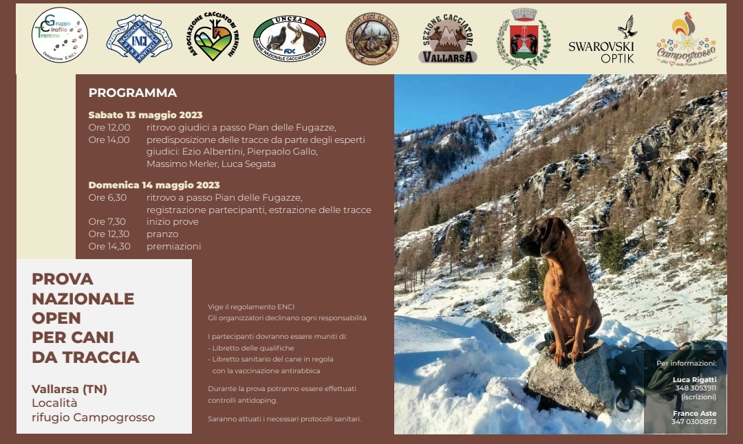 Prova nazionale open per cani da traccia