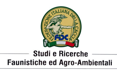 Ufficio Studi e Ricerche FIdC – UNCZA