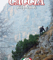 Il grifone sulle Alpi