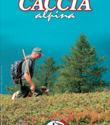 Libri