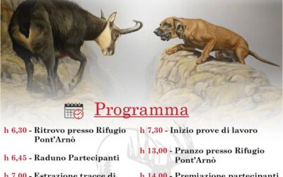 Prova nazionale open per cani da caccia