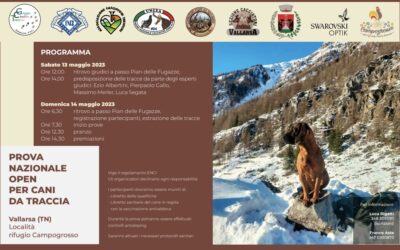 Prova nazionale open per cani da traccia