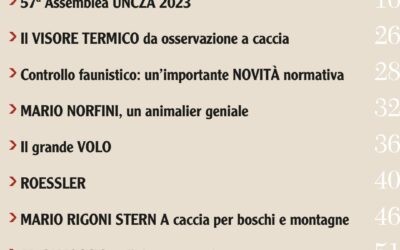 Caccia Alpina