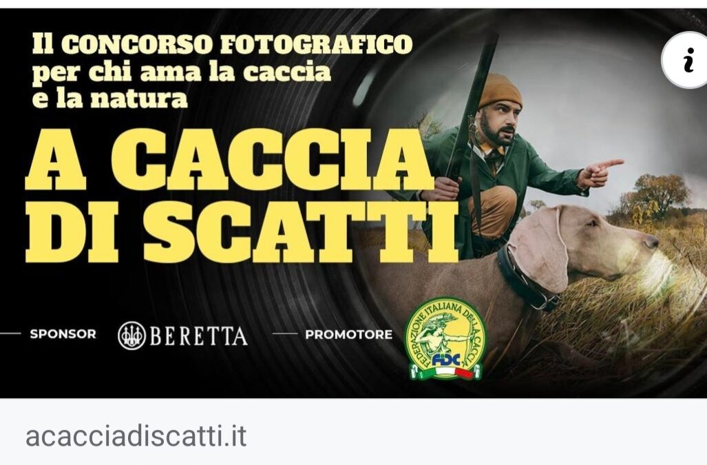 Concorso fotografico