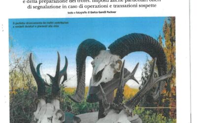 Acqua ossigenata bandita