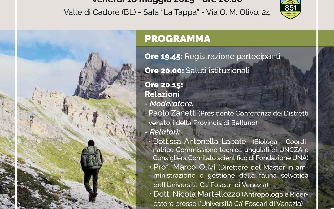 Ruolo strategico cacciatore