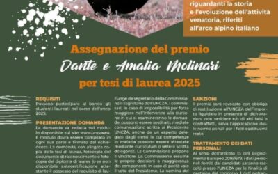 Bando di Concorso per tesi di laurea Edizione 2025