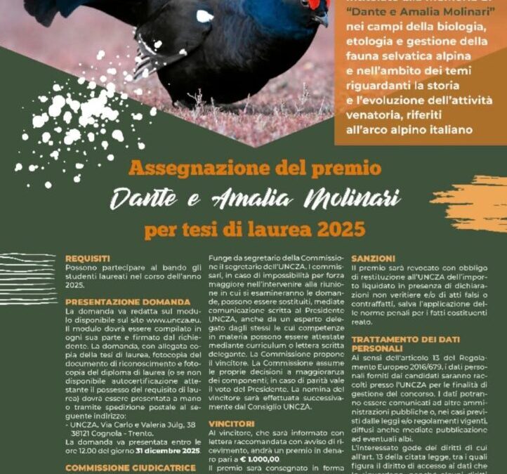 Bando di Concorso per tesi di laurea Edizione 2025